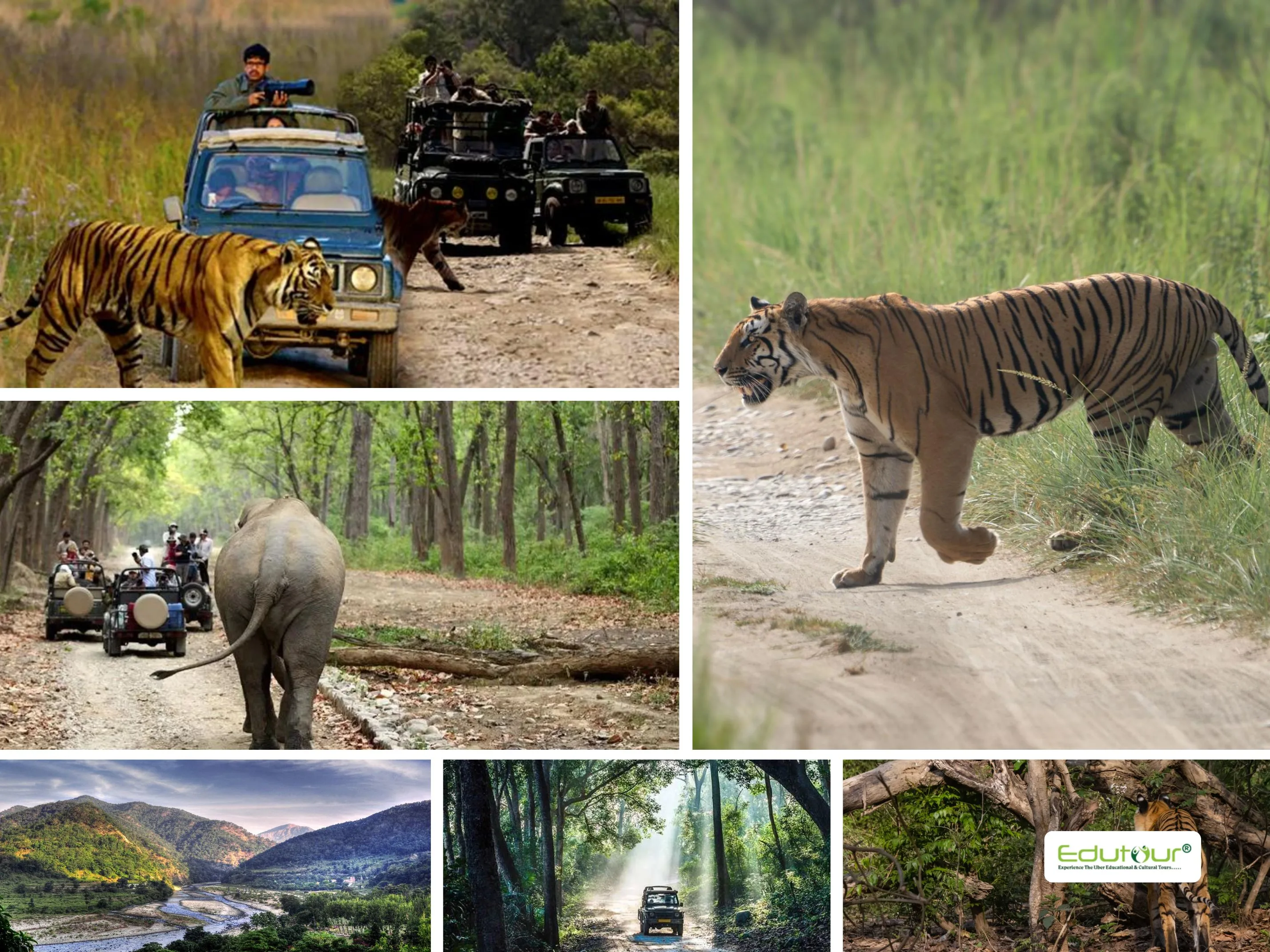 North India Tour for Students